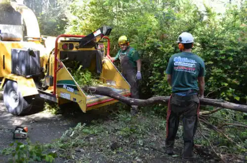 tree services Clarksburg